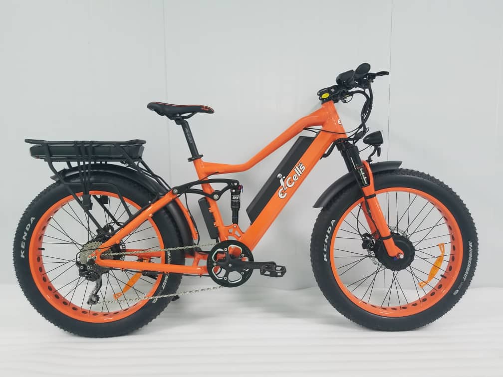 cell electric bike