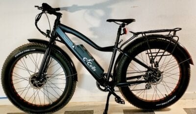 600W hardtail e-bike